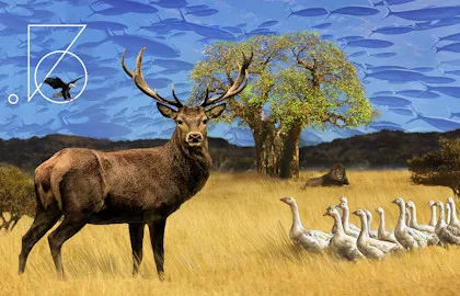 Illustration