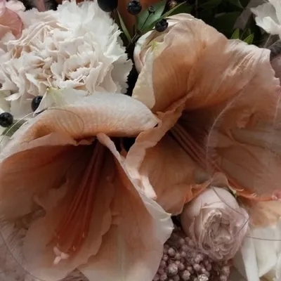 Review Author - Anna Pula