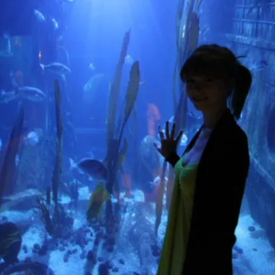 Review Author - Елена Иванова