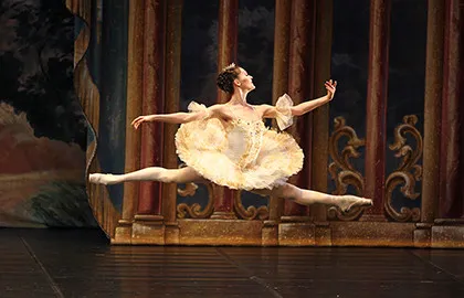 Scene from «Спящая красавица»