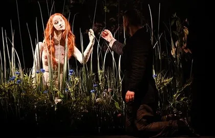 Scene from «Сон смешного человека»